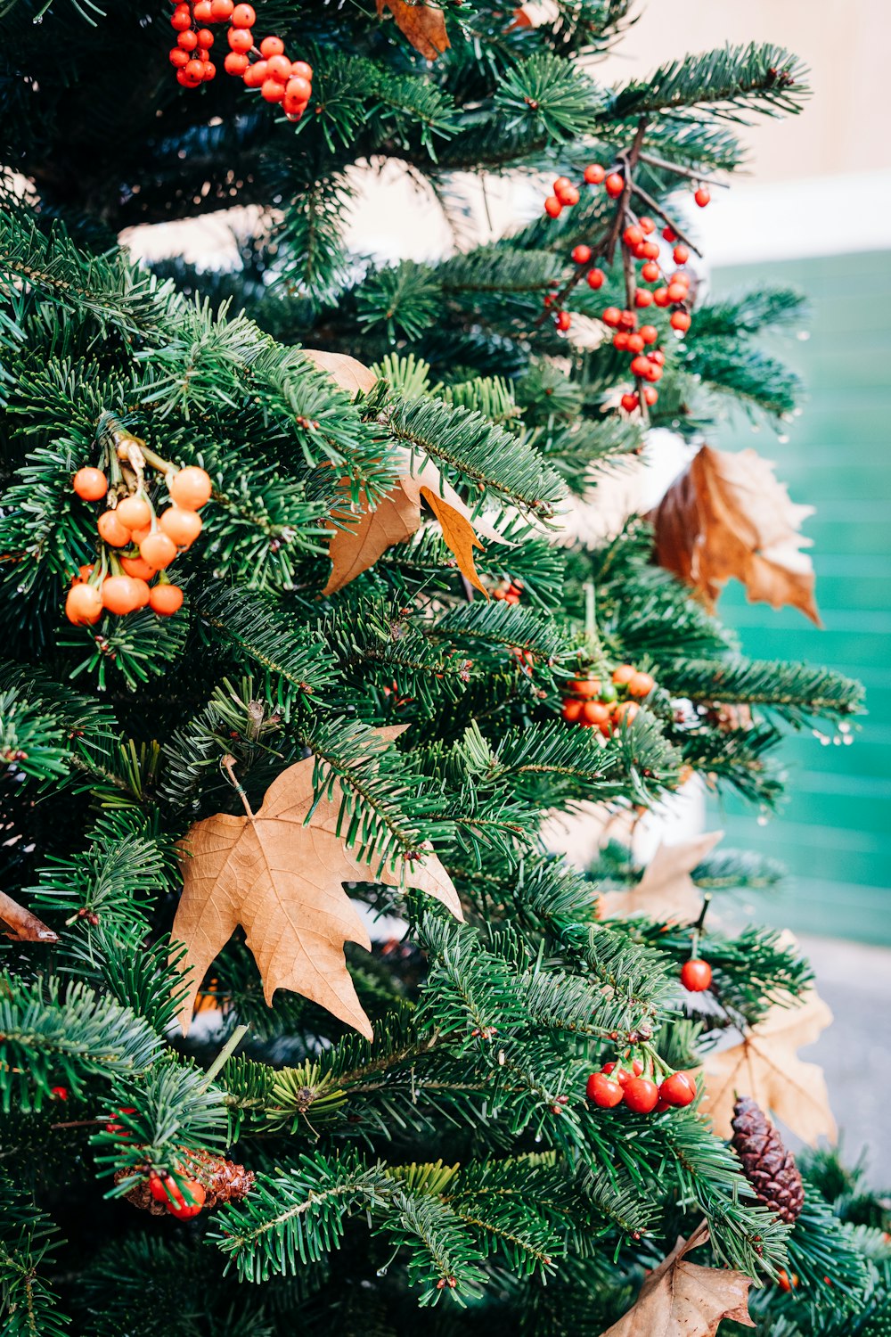 a close up of a christmas tree with berries and leaves