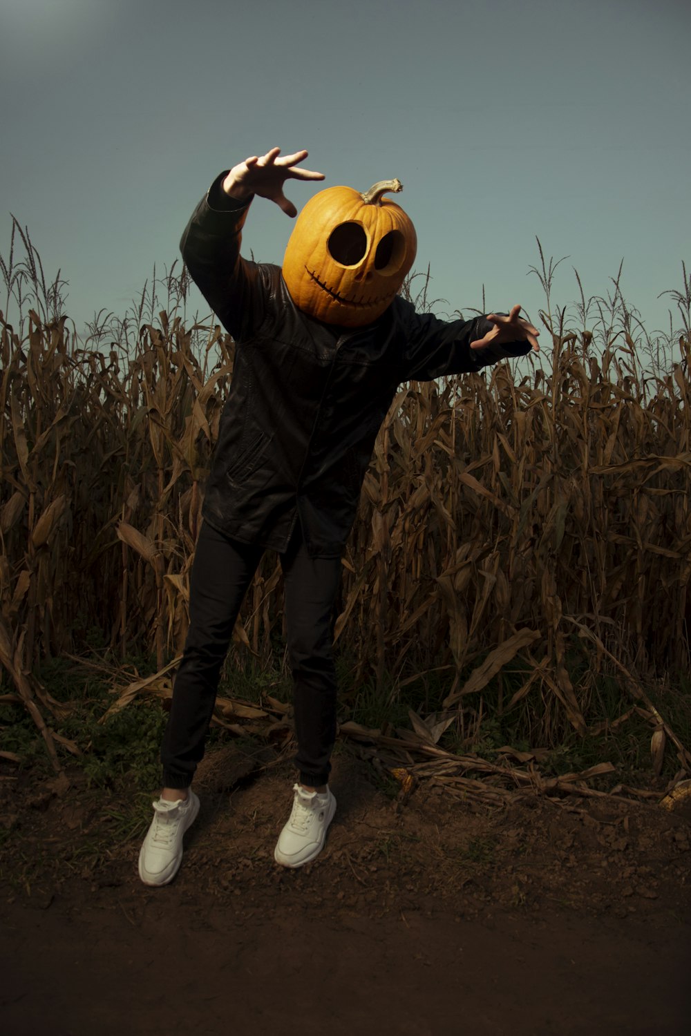 a person wearing a pumpkin mask in a corn field