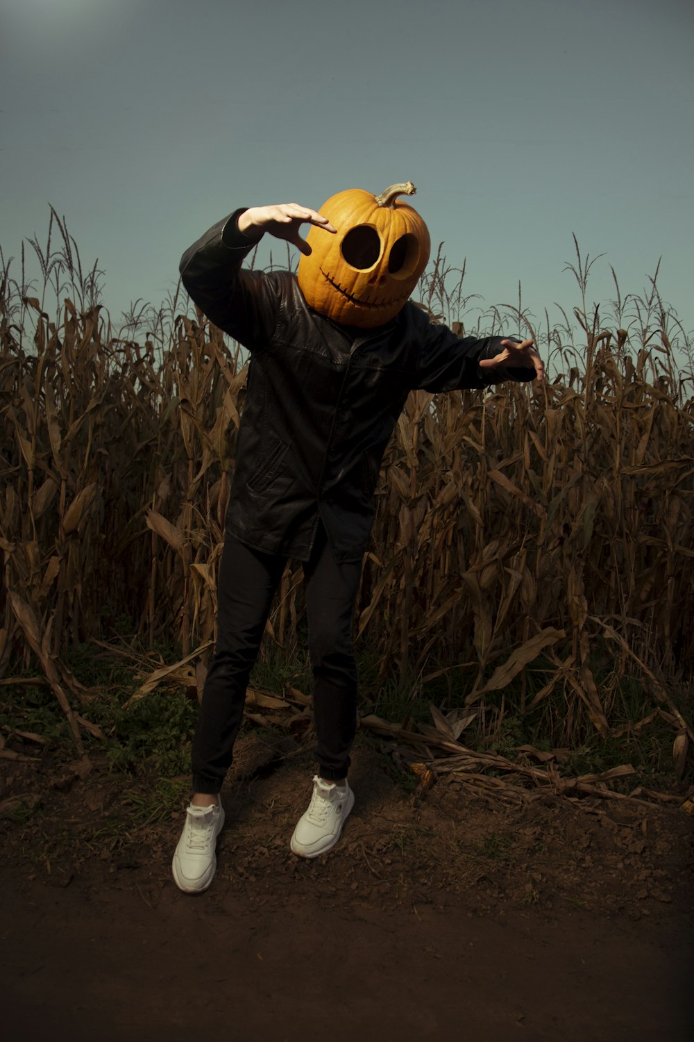 a person wearing a pumpkin mask standing in a field of corn