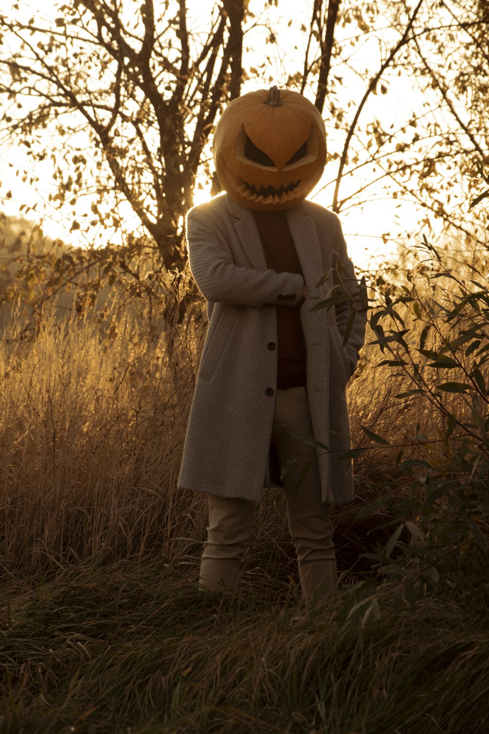 a person standing in a field with a pumpkin on their head