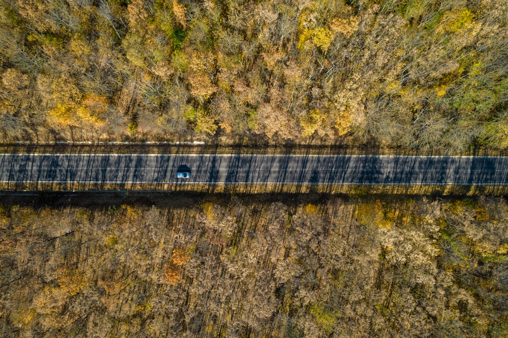an aerial view of a train traveling through a forest