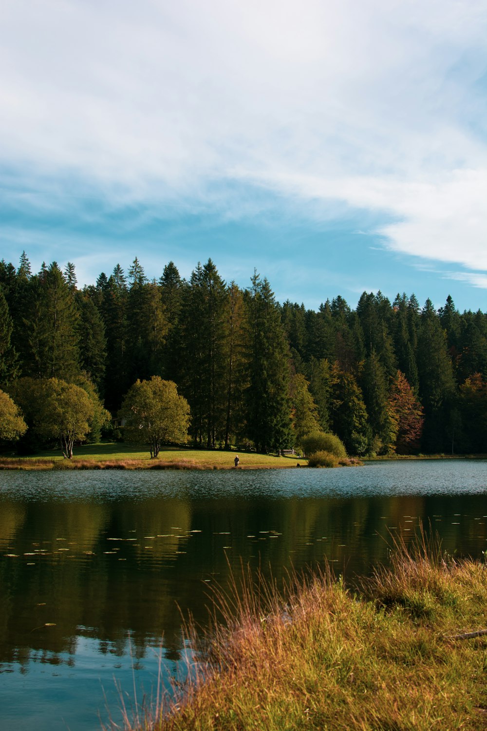 a body of water surrounded by trees and grass