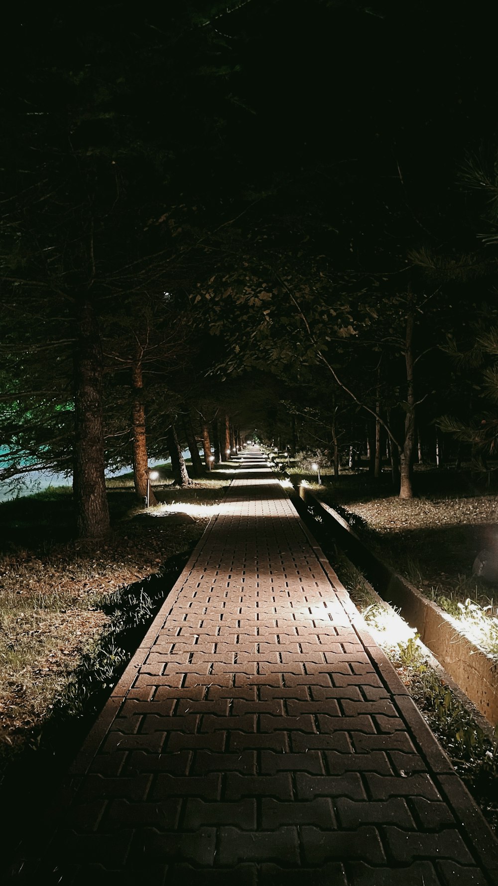 a brick path in the middle of a park at night