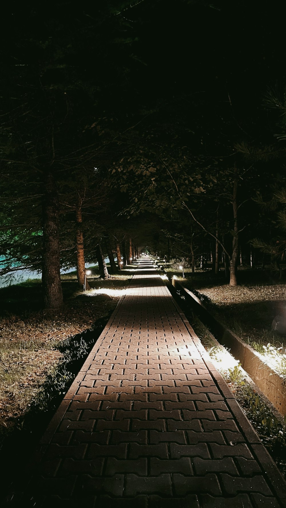 um caminho de tijolos no meio de um parque à noite