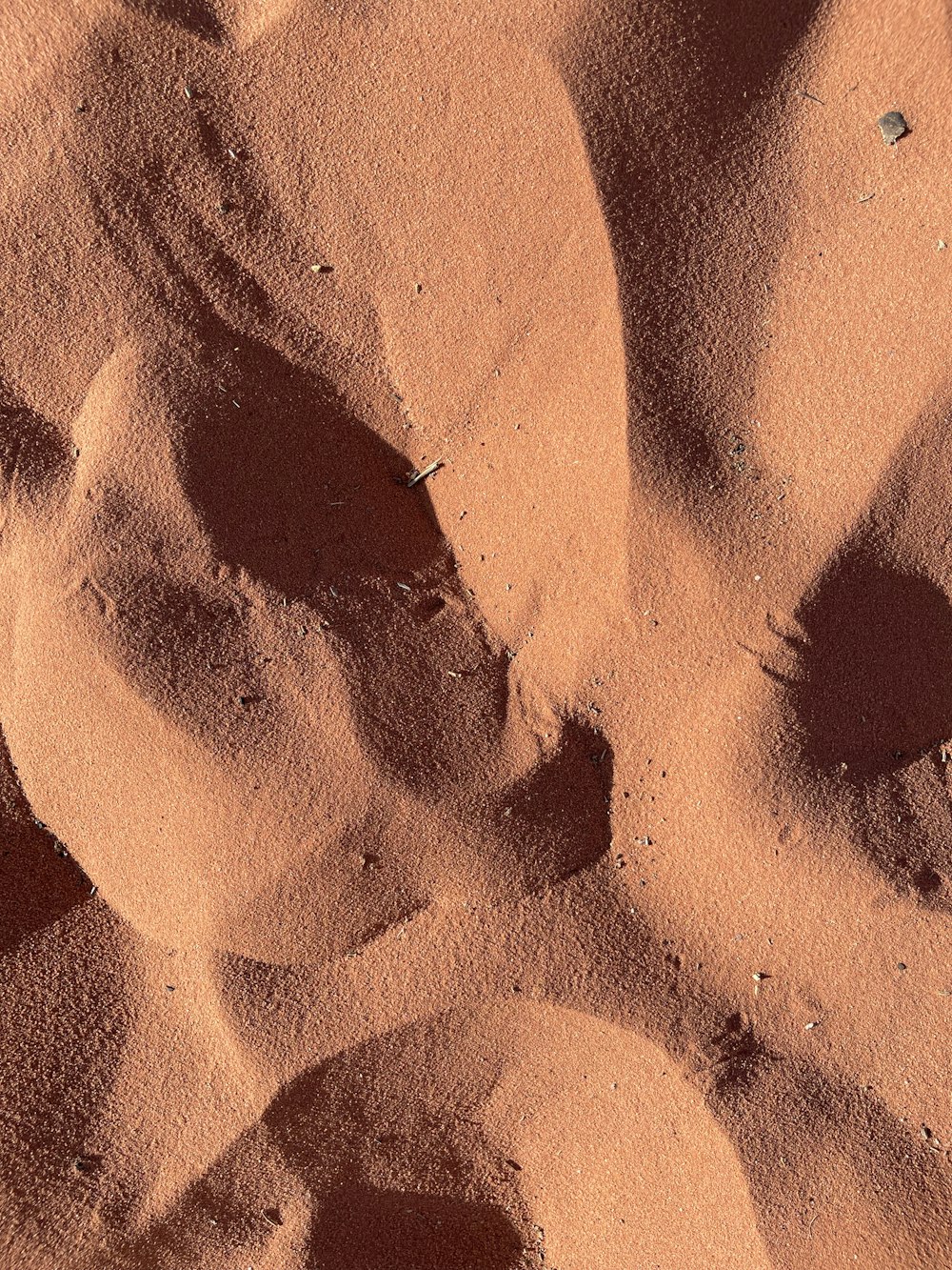 empreintes de pas dans le sable d’une plage de sable