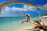 a woman sitting on a tree branch on a beach