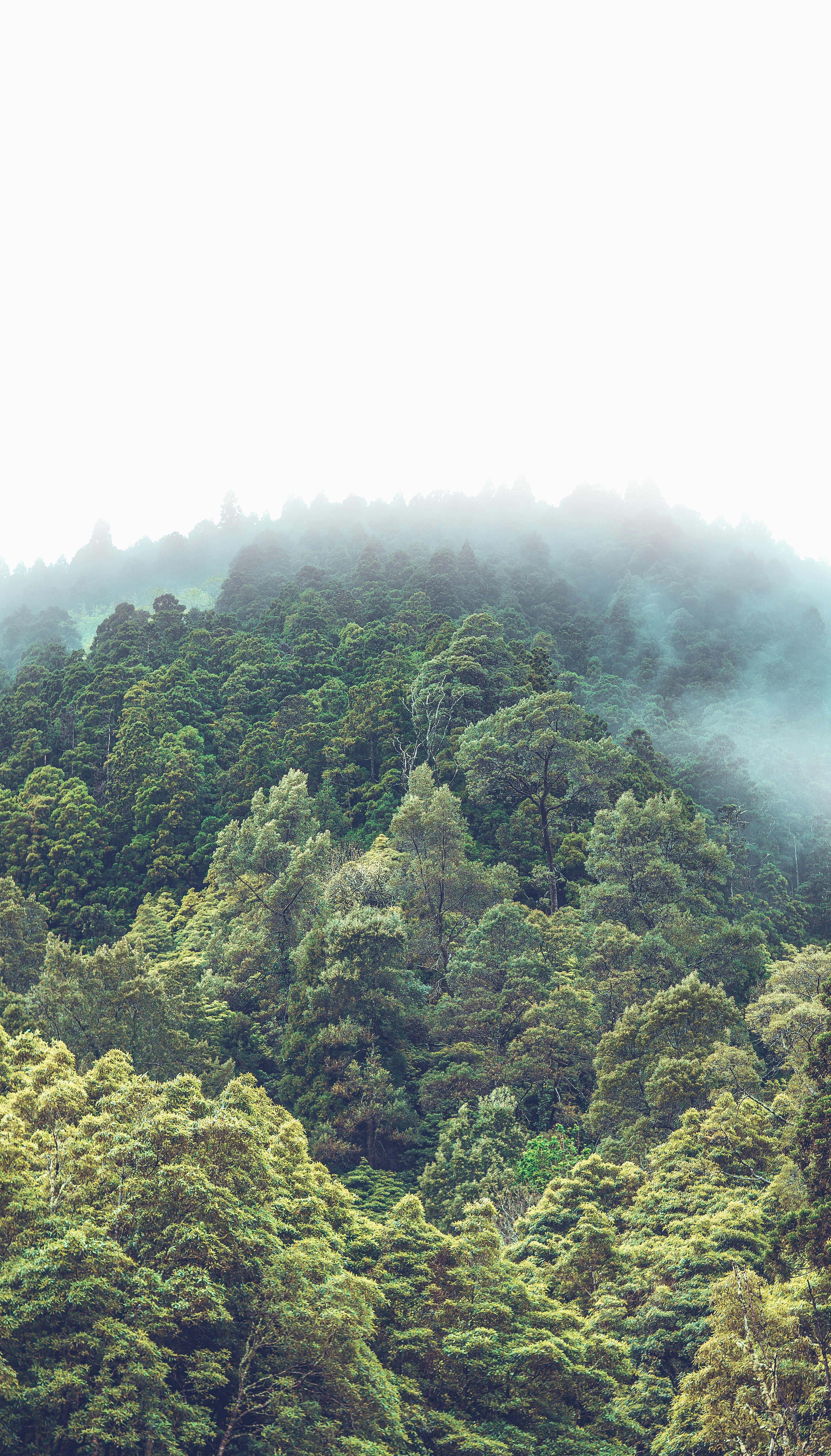 Photo by ruisilvestrecreative