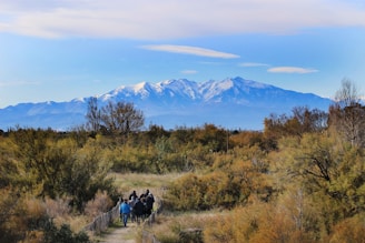 a group of people riding horses down a dirt road