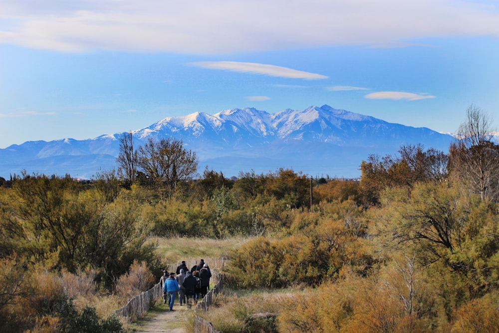 Un grupo de personas montando a caballo por un camino de tierra