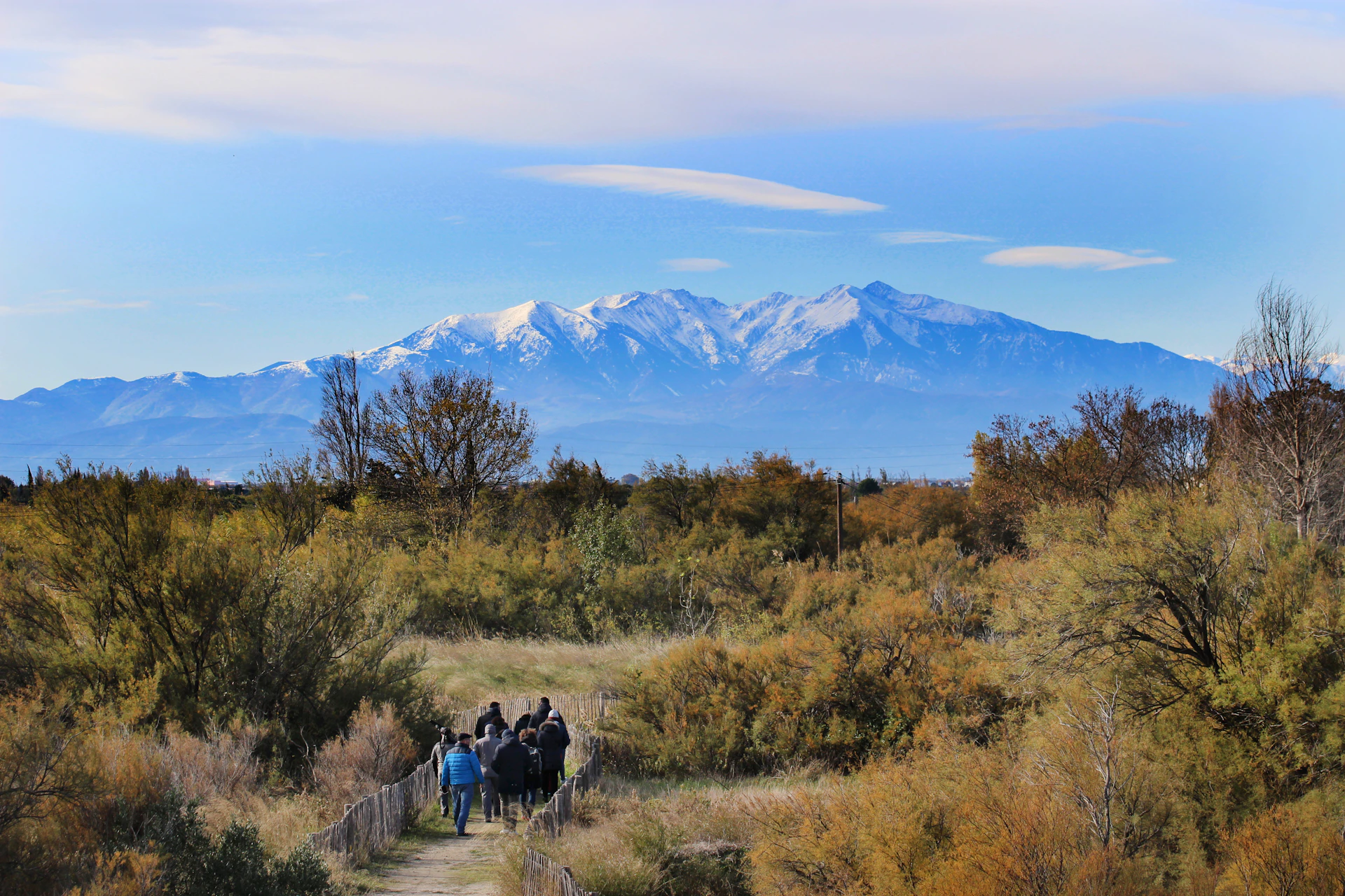 a group of people riding horses down a dirt road
