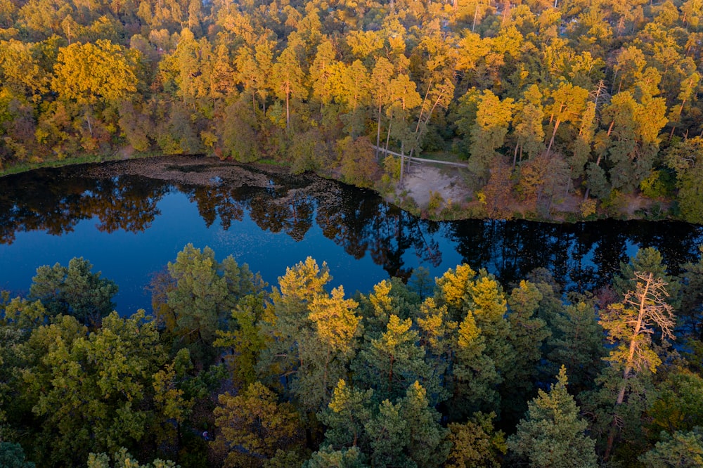 an aerial view of a lake surrounded by trees