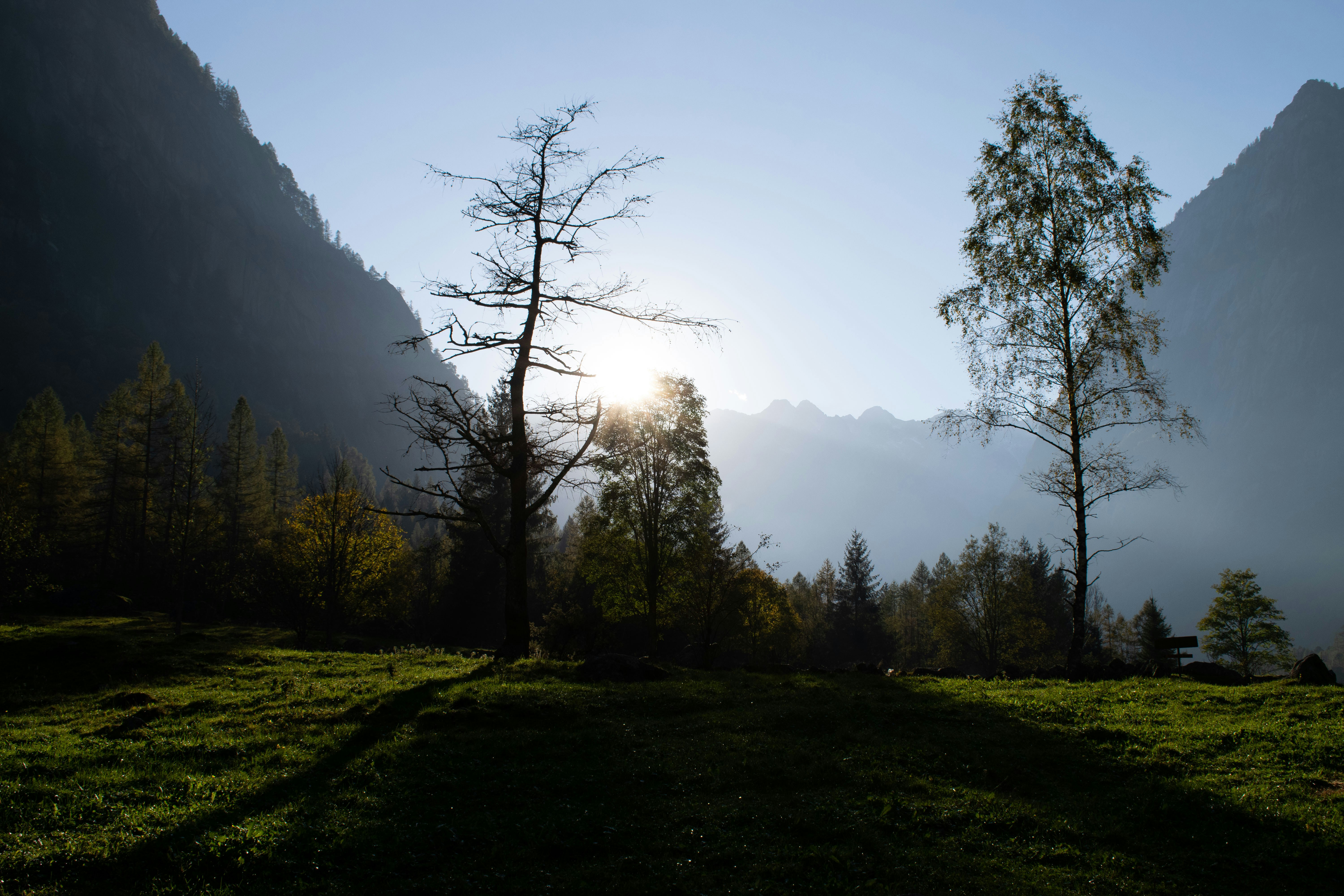 the sun shines brightly through the trees in the mountains