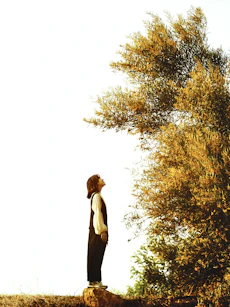 a person standing on a rock near a tree
