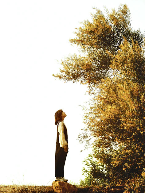 a person standing on a rock near a tree