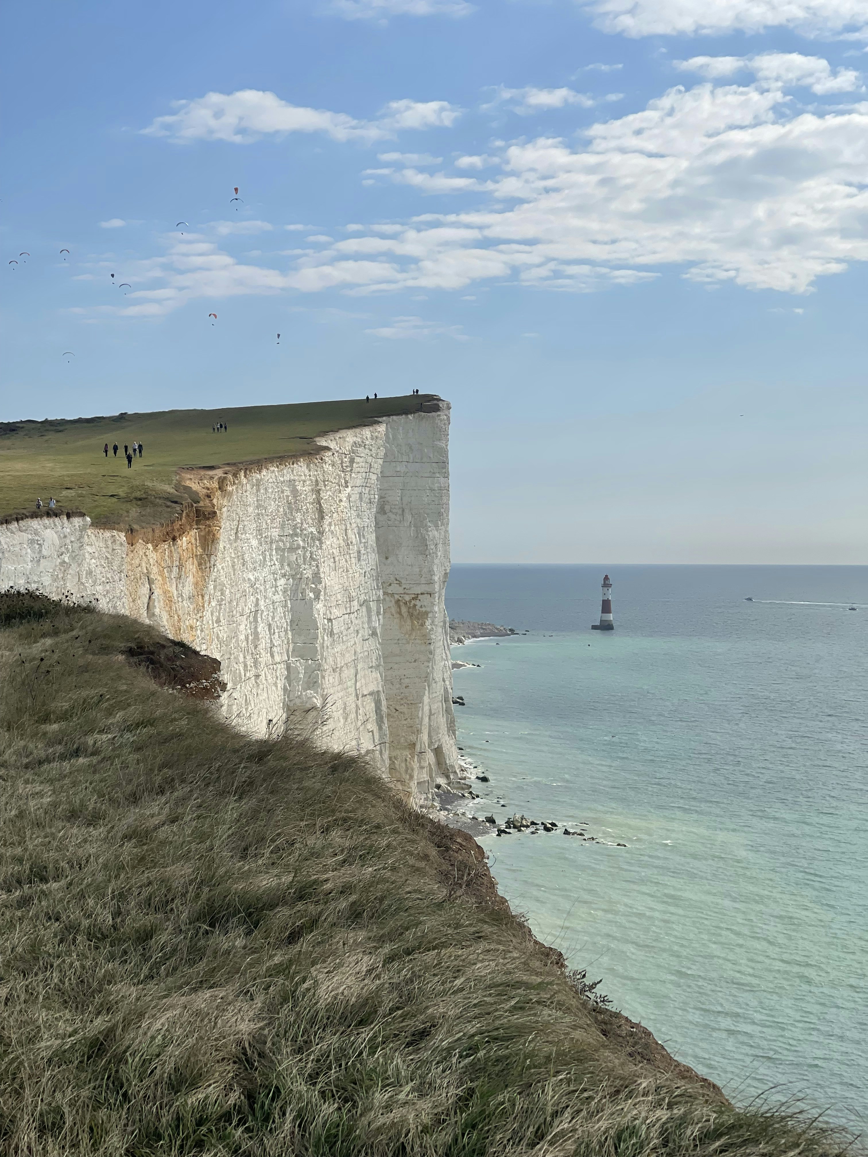 Photo by tobylitao2019