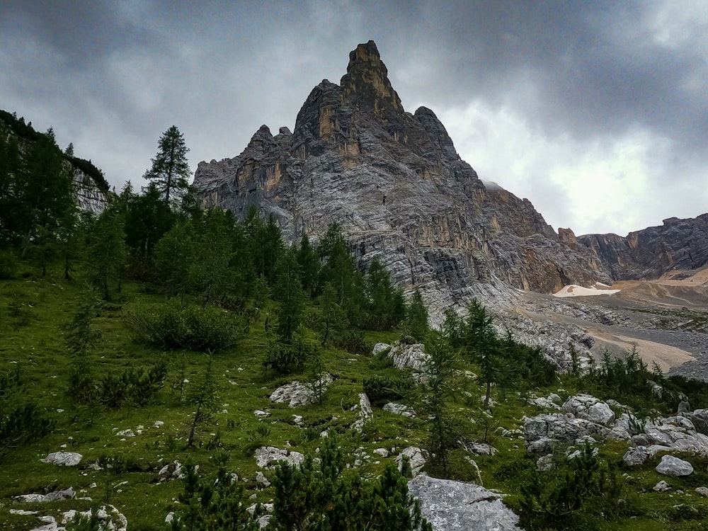 a very tall mountain surrounded by trees and rocks