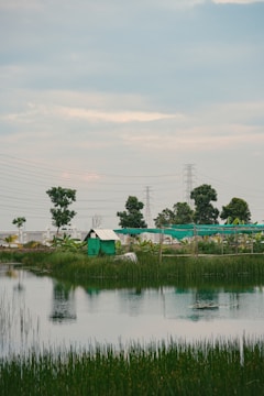 A serene landscape featuring a generator in a backyard.