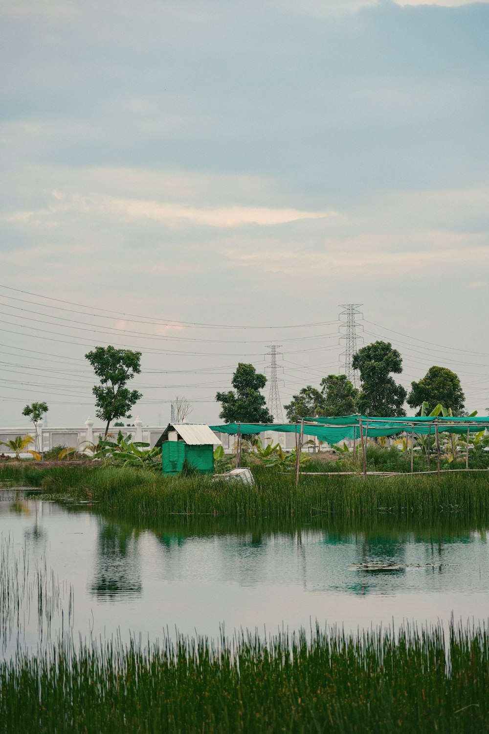 a pond with a green building in the background