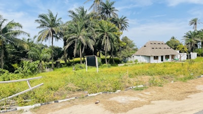 A small house with a thatched roof is surrounded by lush greenery and tall palm trees. The house is white with a veranda and some green chairs visible on the front porch. A dirt path runs in front of the house, bordered by patches of grass and tropical vegetation.