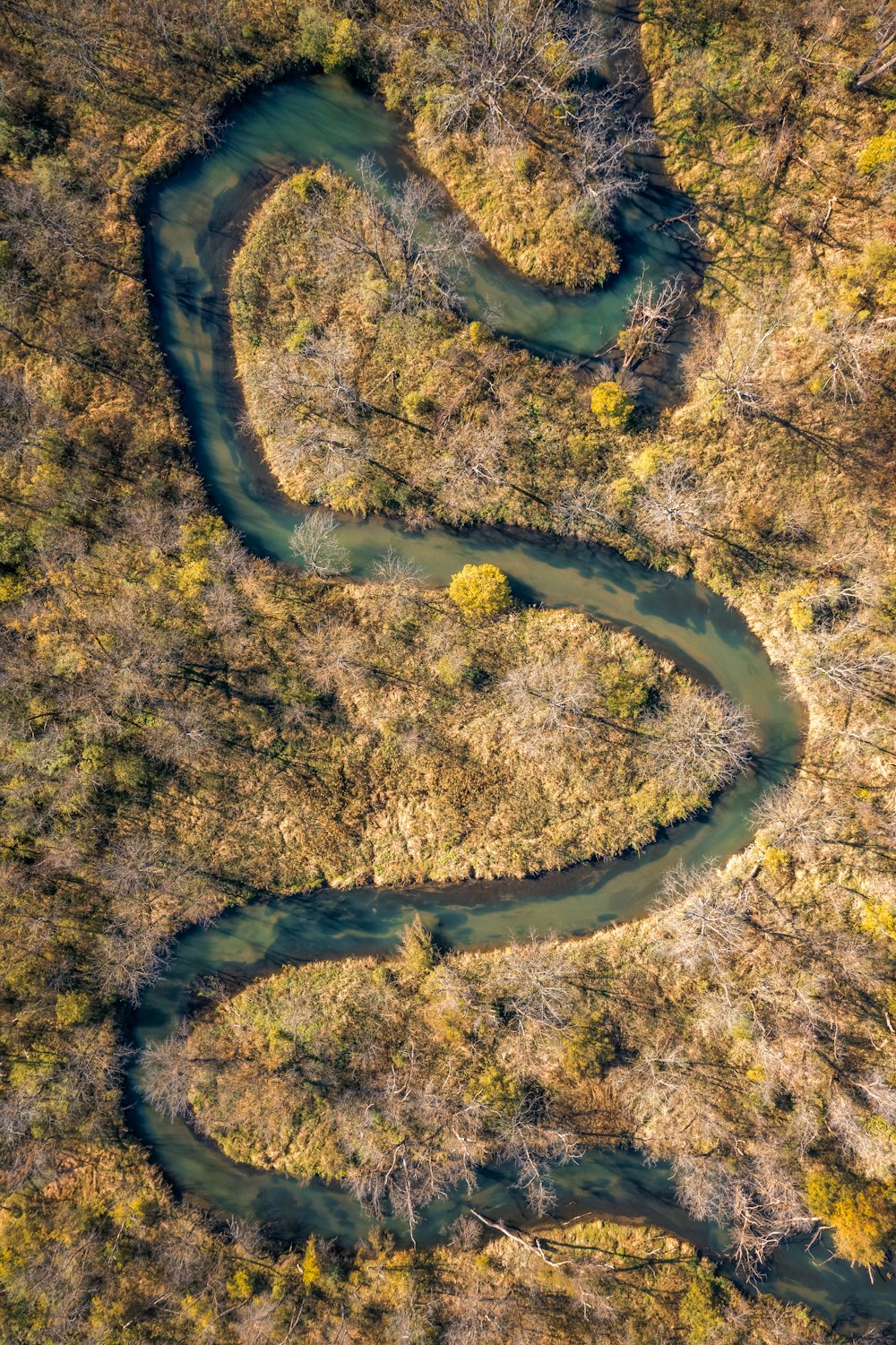 an aerial view of a river running through a forest