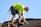 a man in a yellow shirt is working on a roof