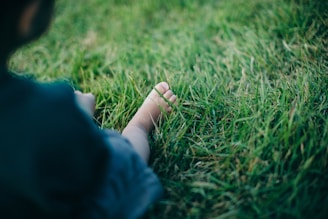 A close-up of a child's tiny feet wearing soft, anatomical socks, gently touching a patch of green grass.