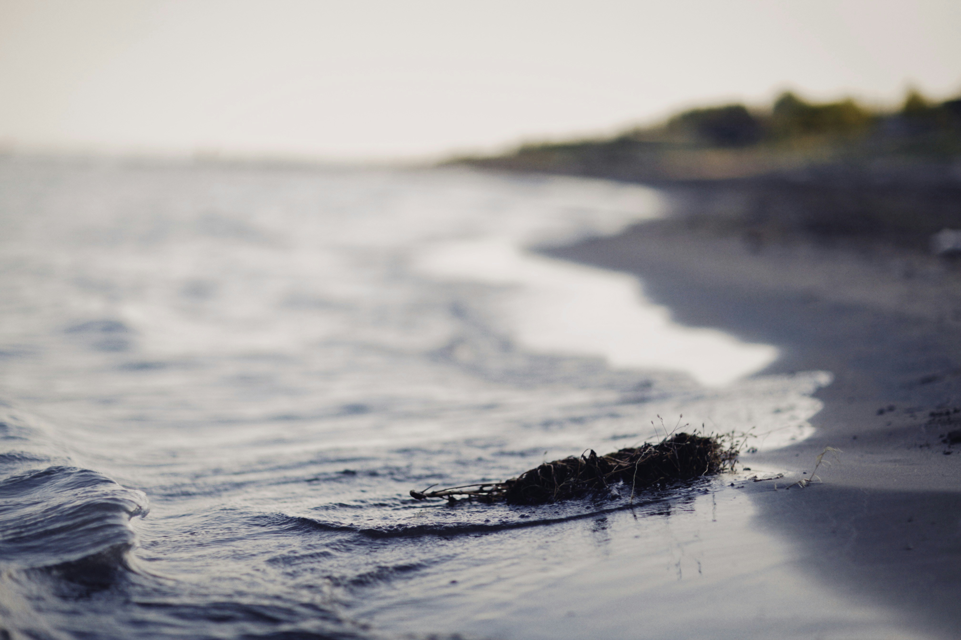 Photo by alexeydemidov