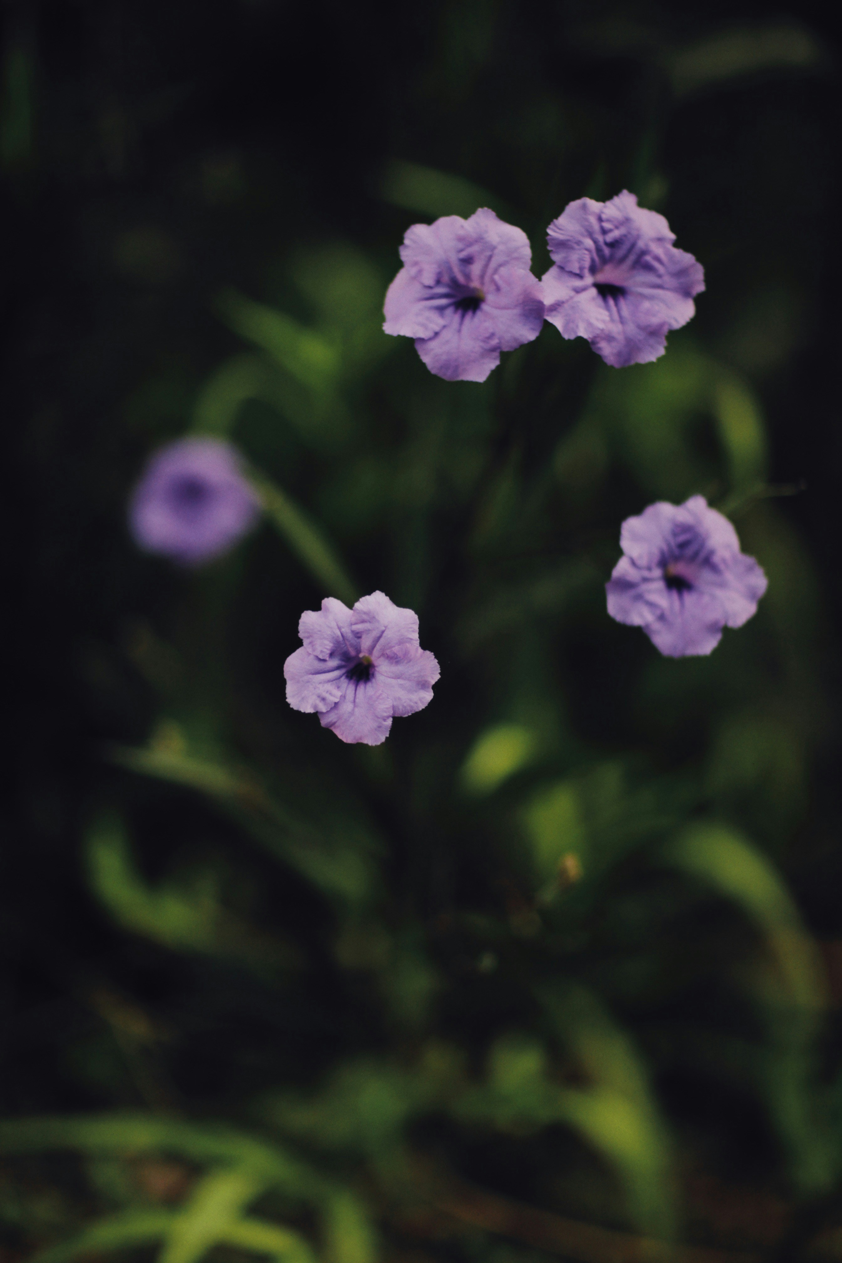 Photo by alexeydemidov
