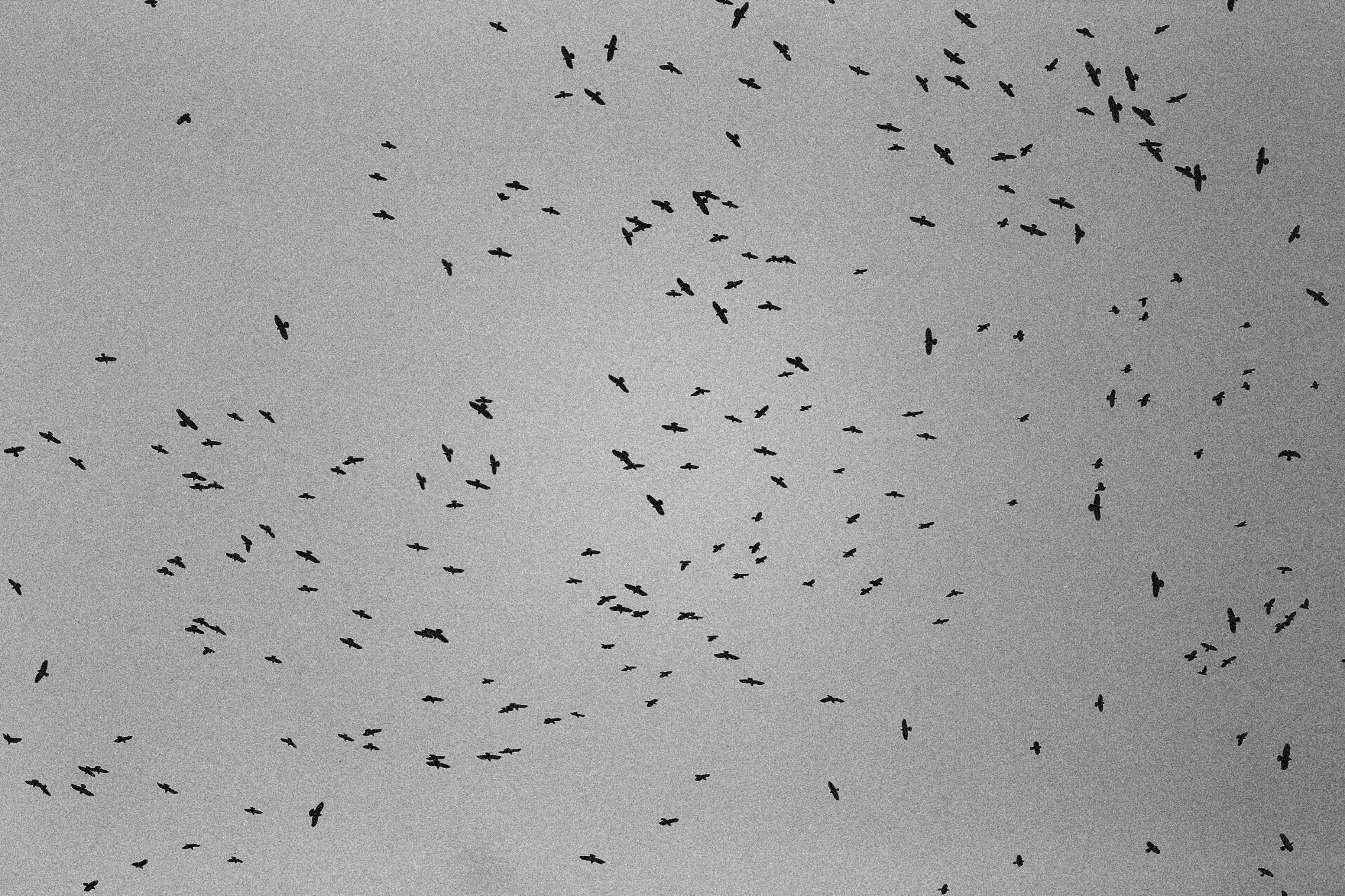 Photo by alexeydemidov