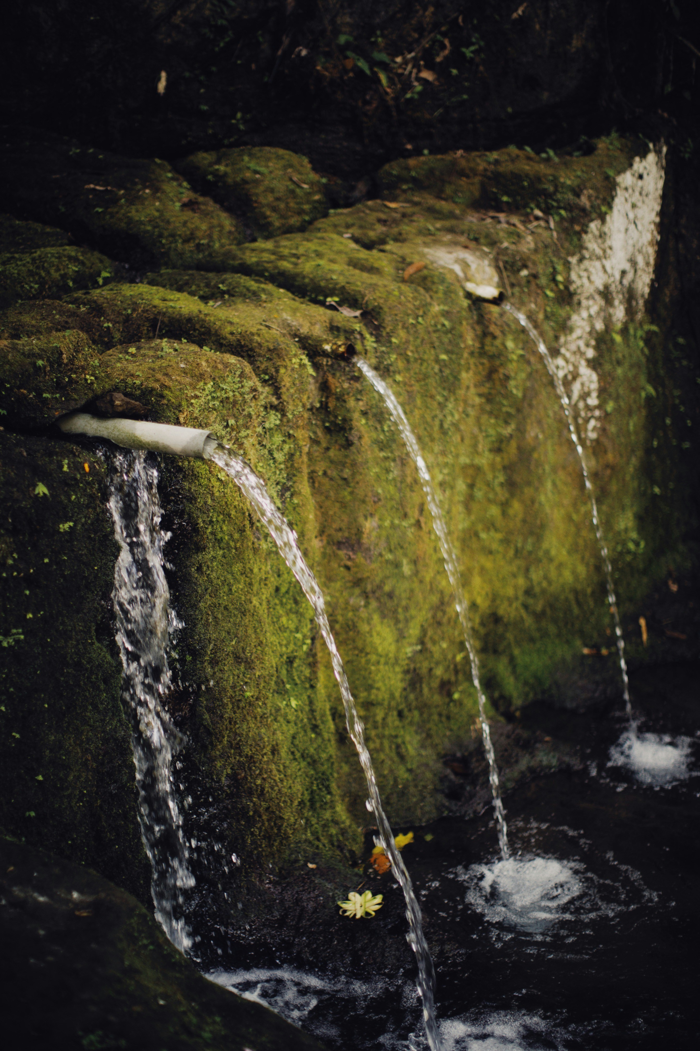 Photo by alexeydemidov