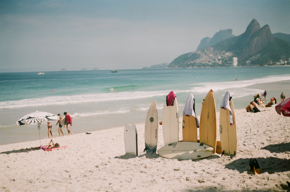 a group of surfboards sitting on top of a sandy beach