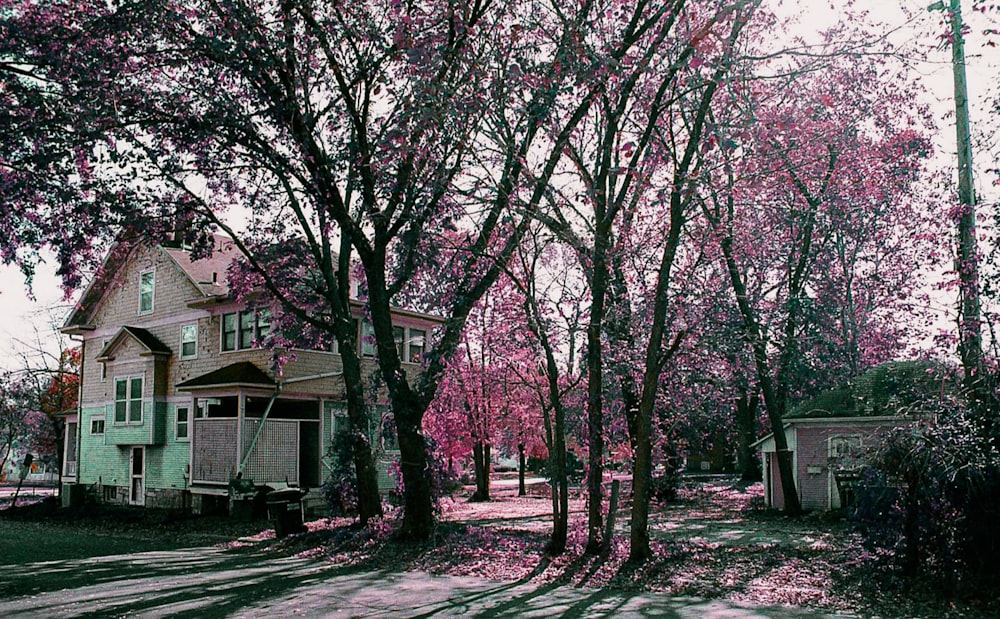 a house surrounded by trees with pink flowers