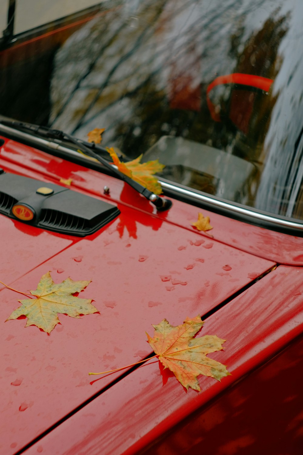 a red car with yellow leaves on the hood