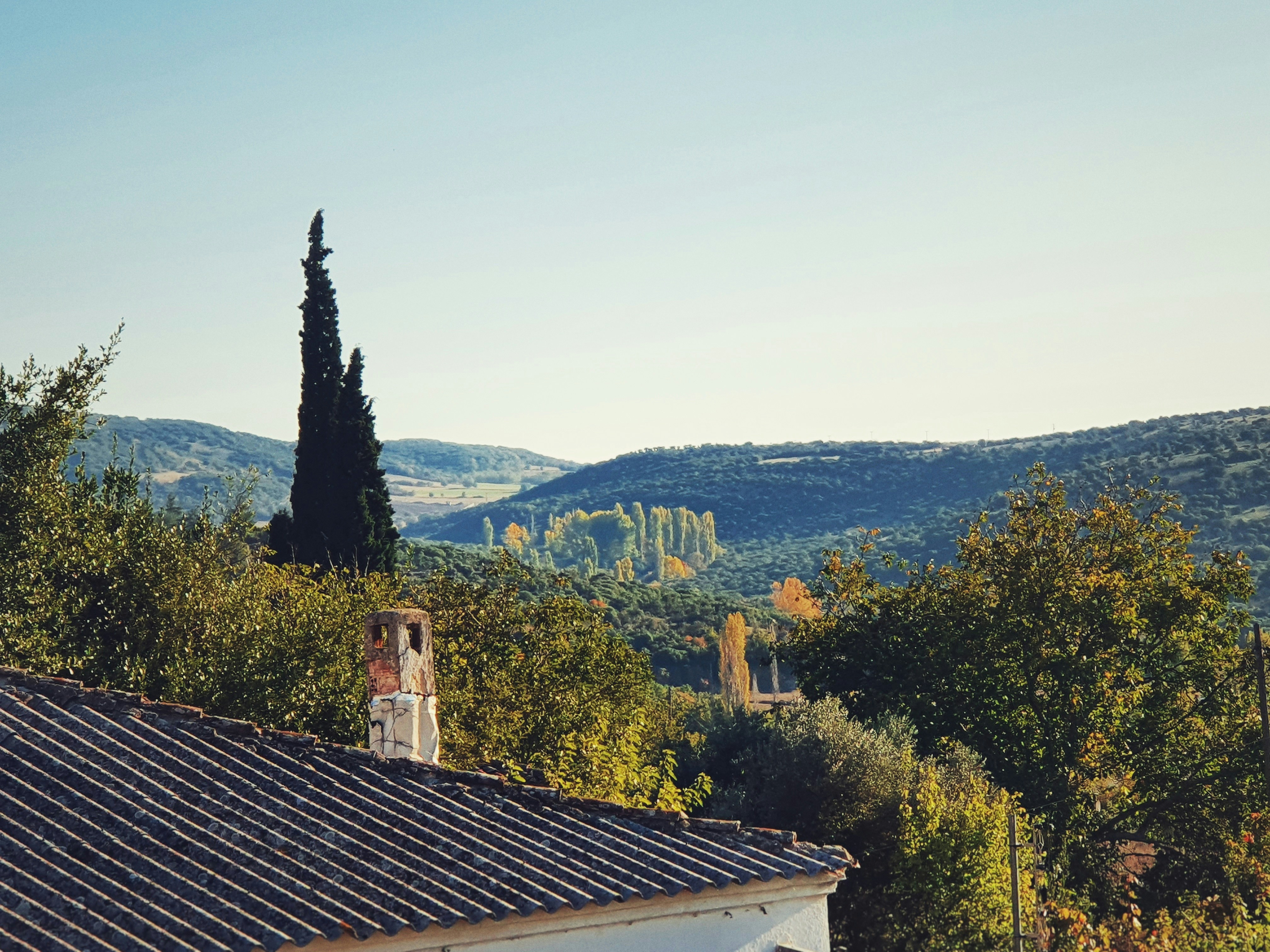 Photo by dim_apostol