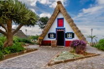 A charming, small A-frame house features a thatched roof and a red, blue, and white color scheme. The house is surrounded by vibrant greenery and colorful flowers, with a cobblestone pathway leading to the entrance. A large, distinctive tree is to the left, and there are stone planters filled with lush plants.