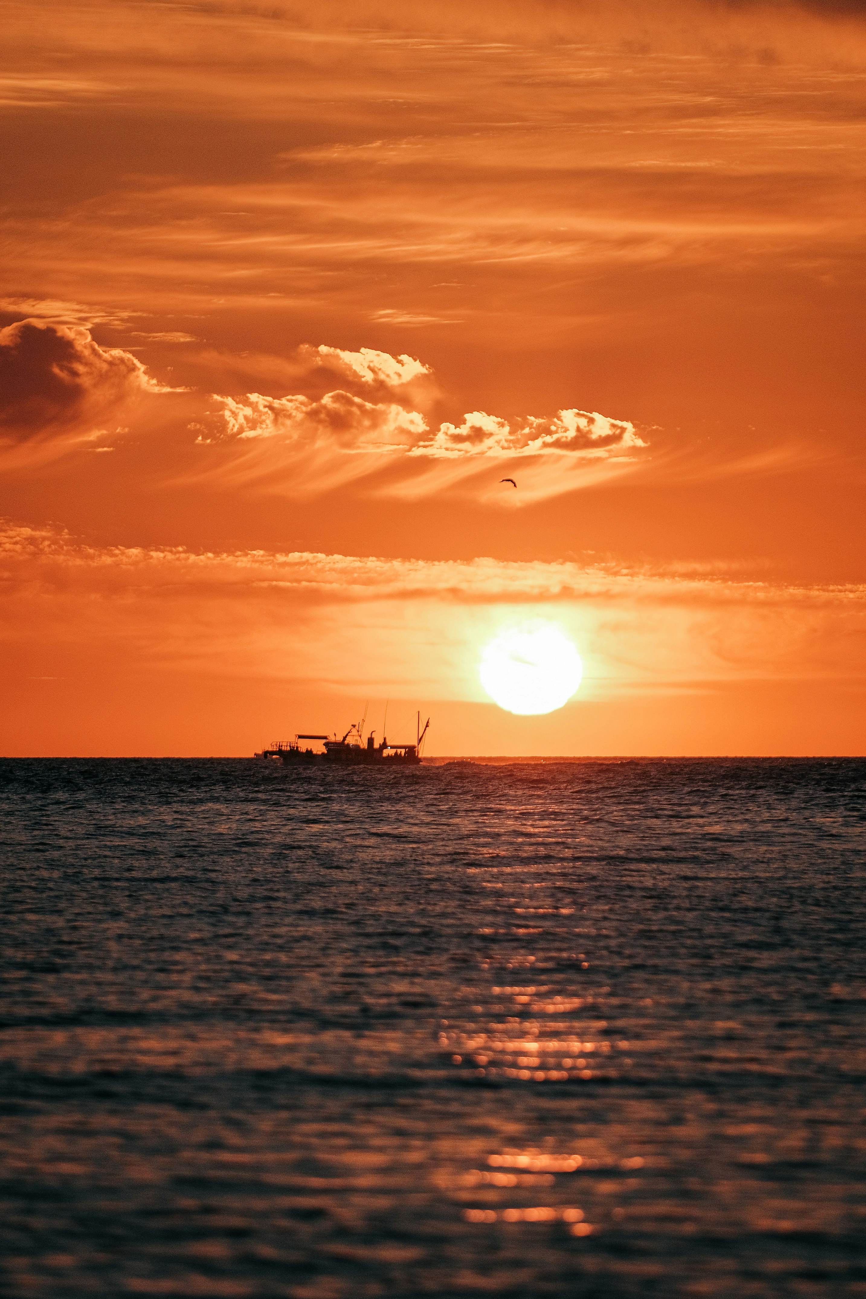 Photo by insungpandora