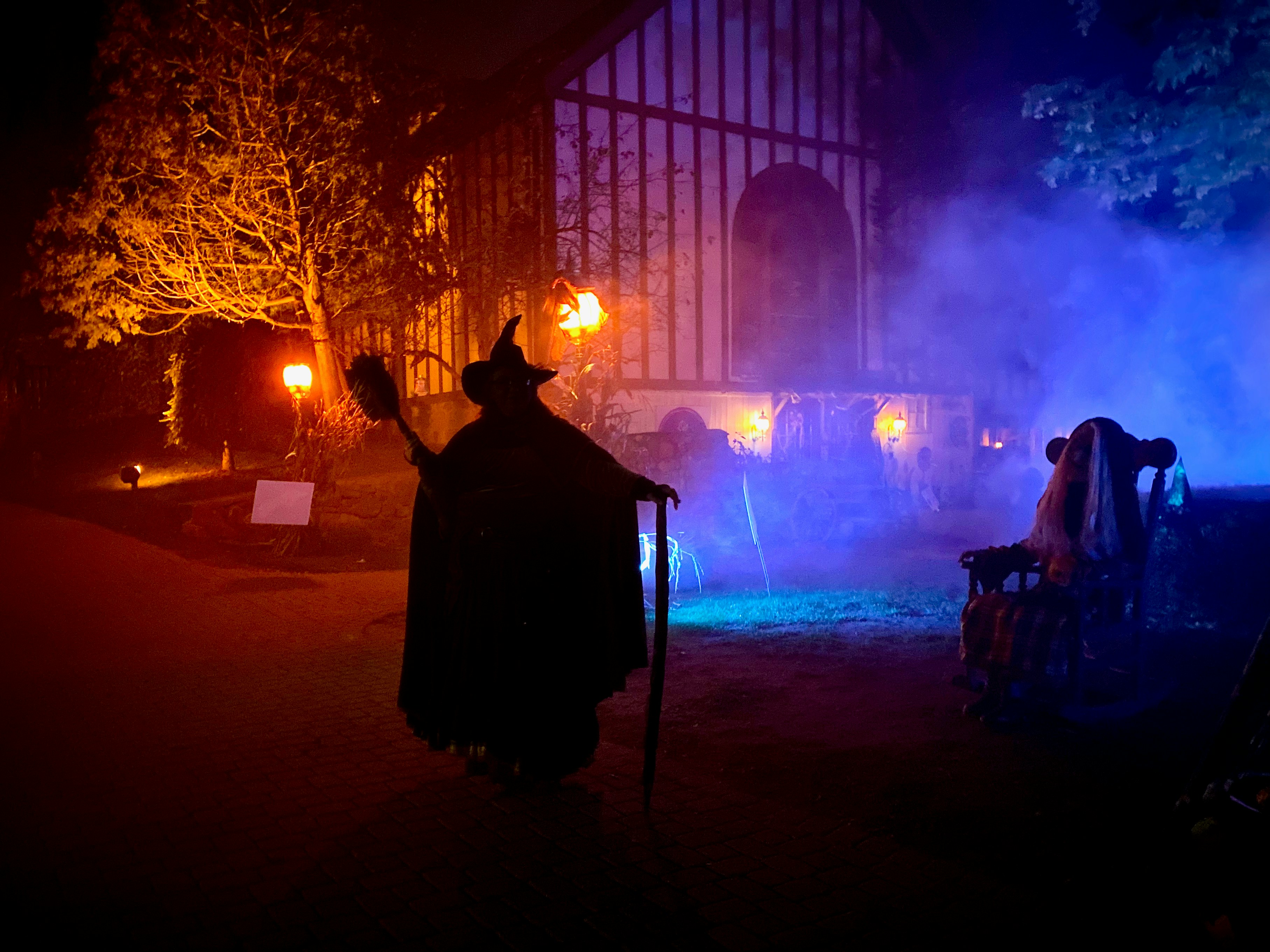 Innovator Pulse Ep.43 - Witch Way to Success? (Copy) Post feature image