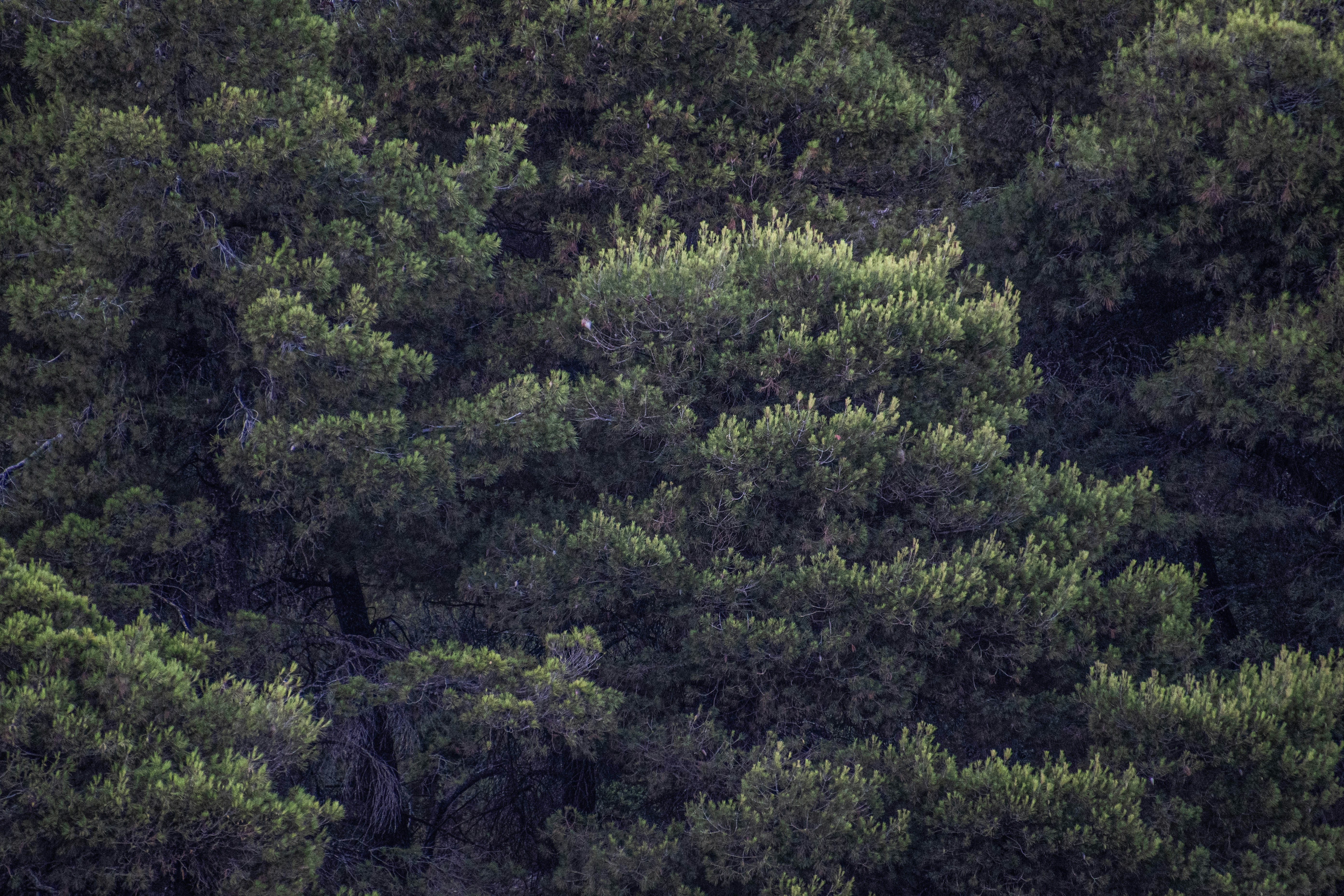 Photo by jessica_rigollot