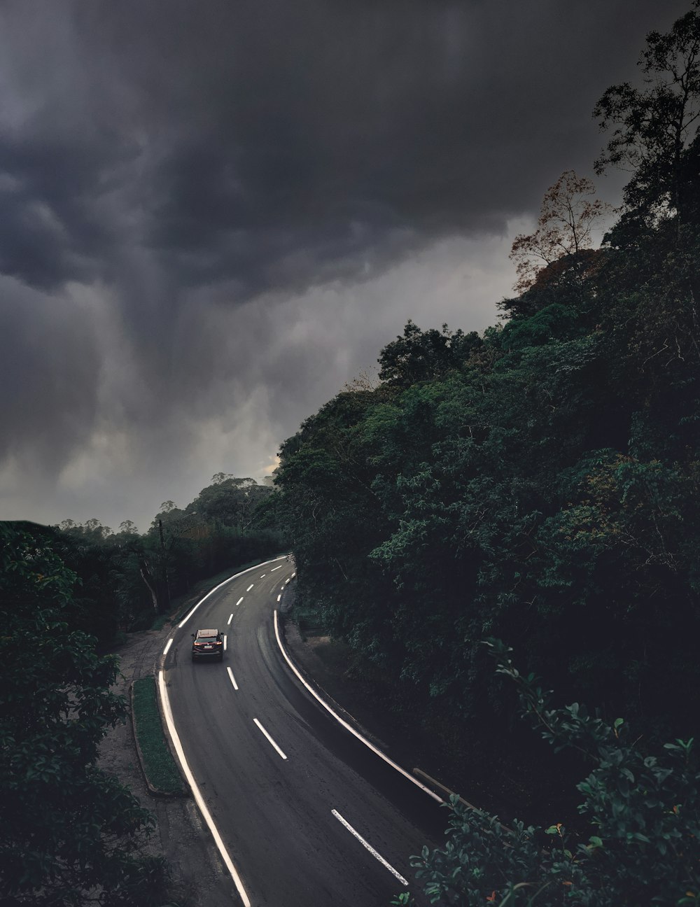 a car driving down a road surrounded by trees