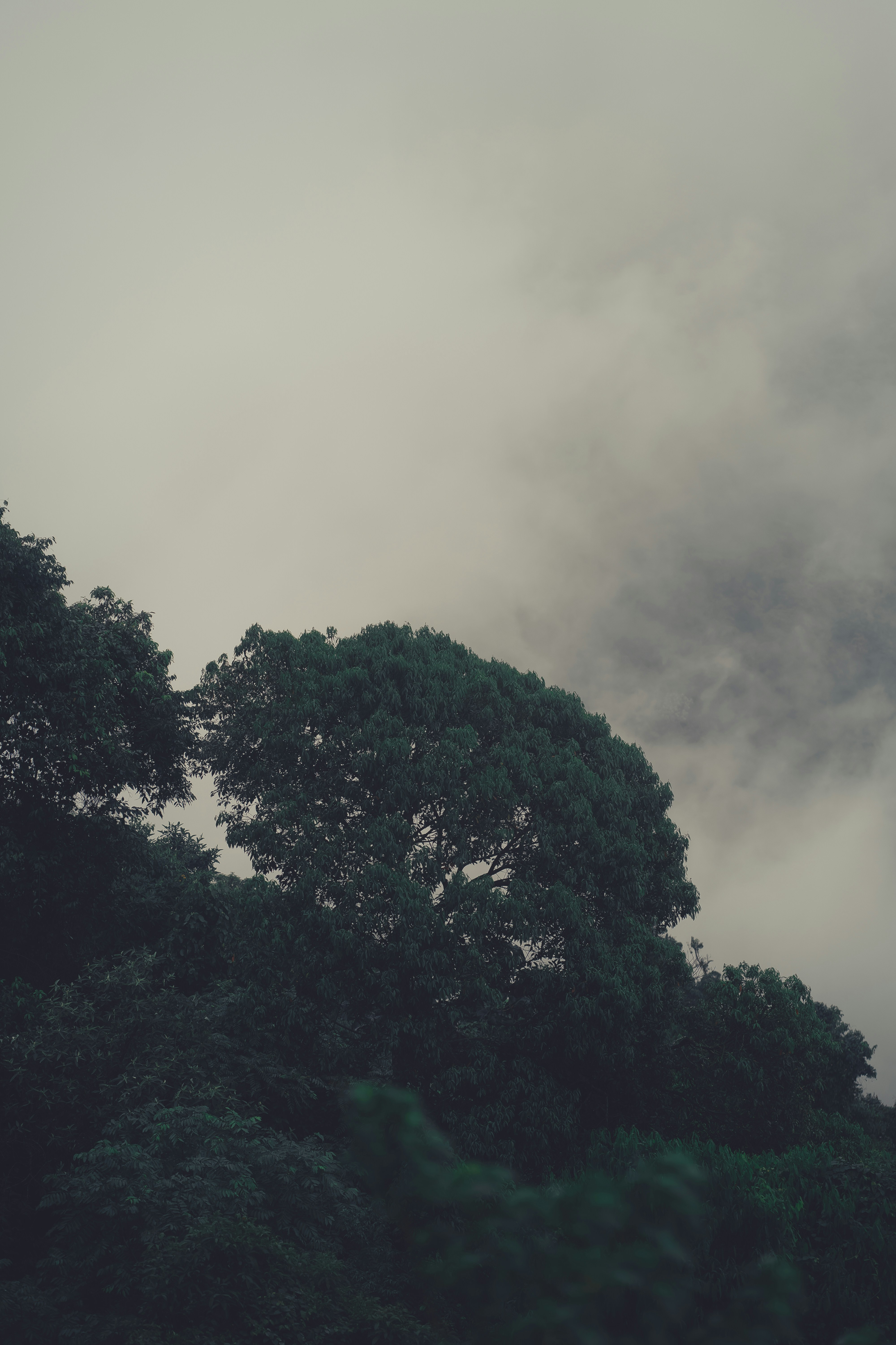 Photo by limamauro23