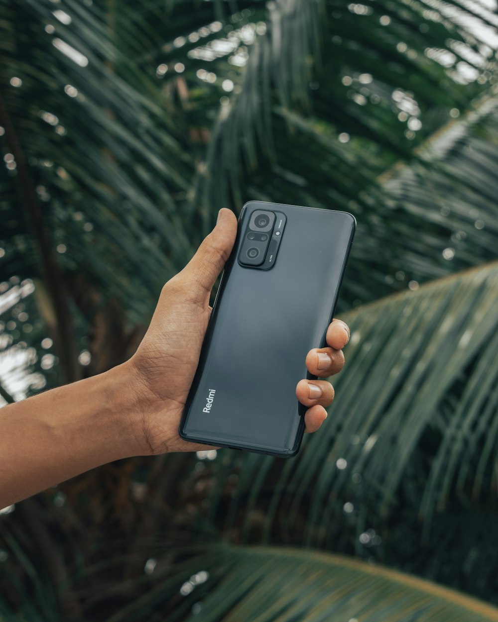 a hand holding a samsung s9 in front of a palm tree