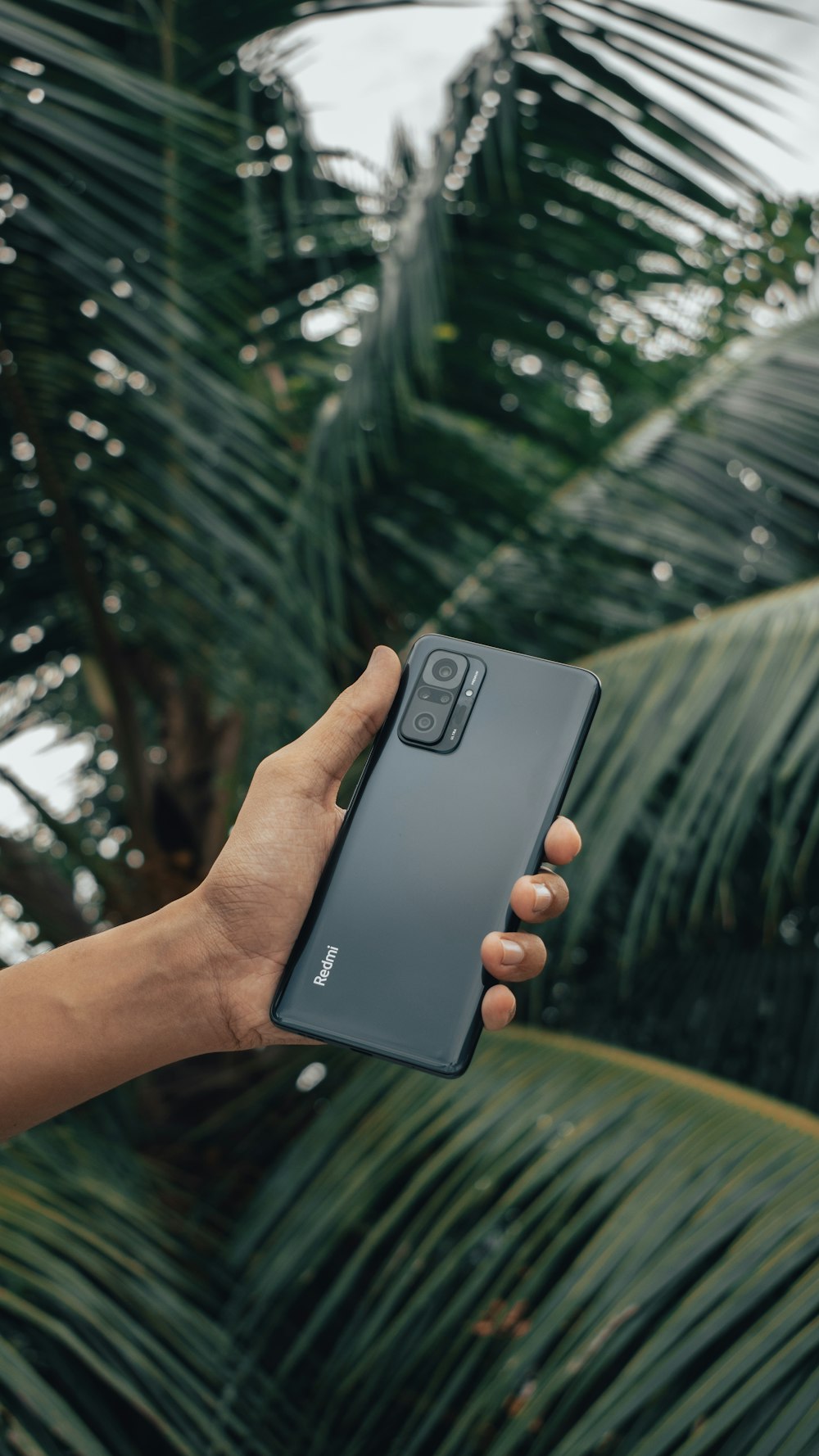 a hand holding a samsung s9 in front of a palm tree