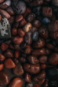 A collection of smooth, wet stones in various shades of brown, red, and gray. The stones have a polished appearance due to the water, highlighting their natural patterns and textures.