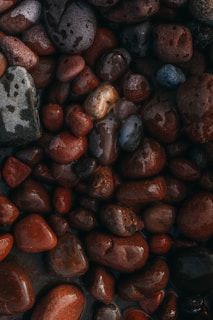 A collection of smooth, wet stones in various shades of brown, red, and gray. The stones have a polished appearance due to the water, highlighting their natural patterns and textures.