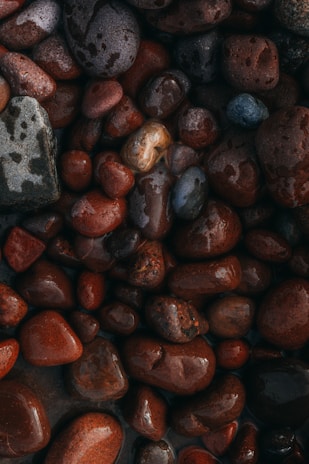 A collection of smooth, wet stones in various shades of brown, red, and gray. The stones have a polished appearance due to the water, highlighting their natural patterns and textures.