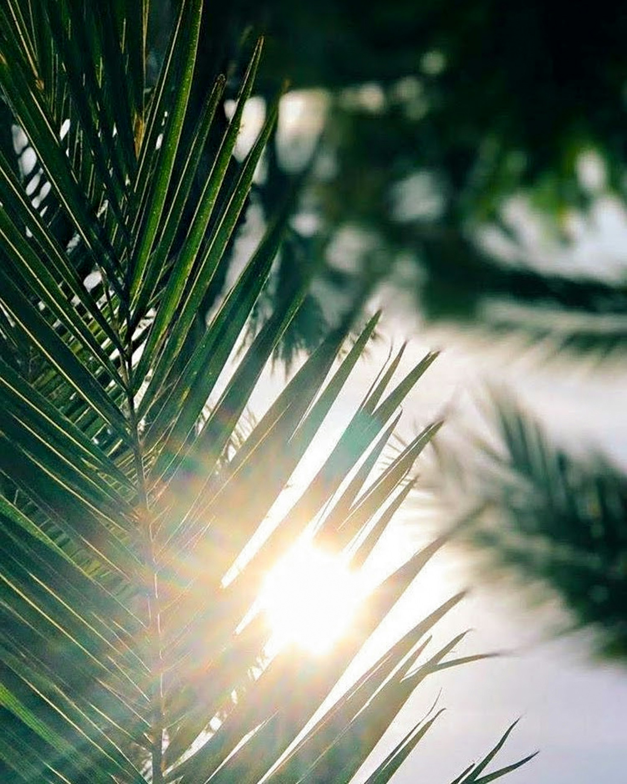 Photo by vik_creatives