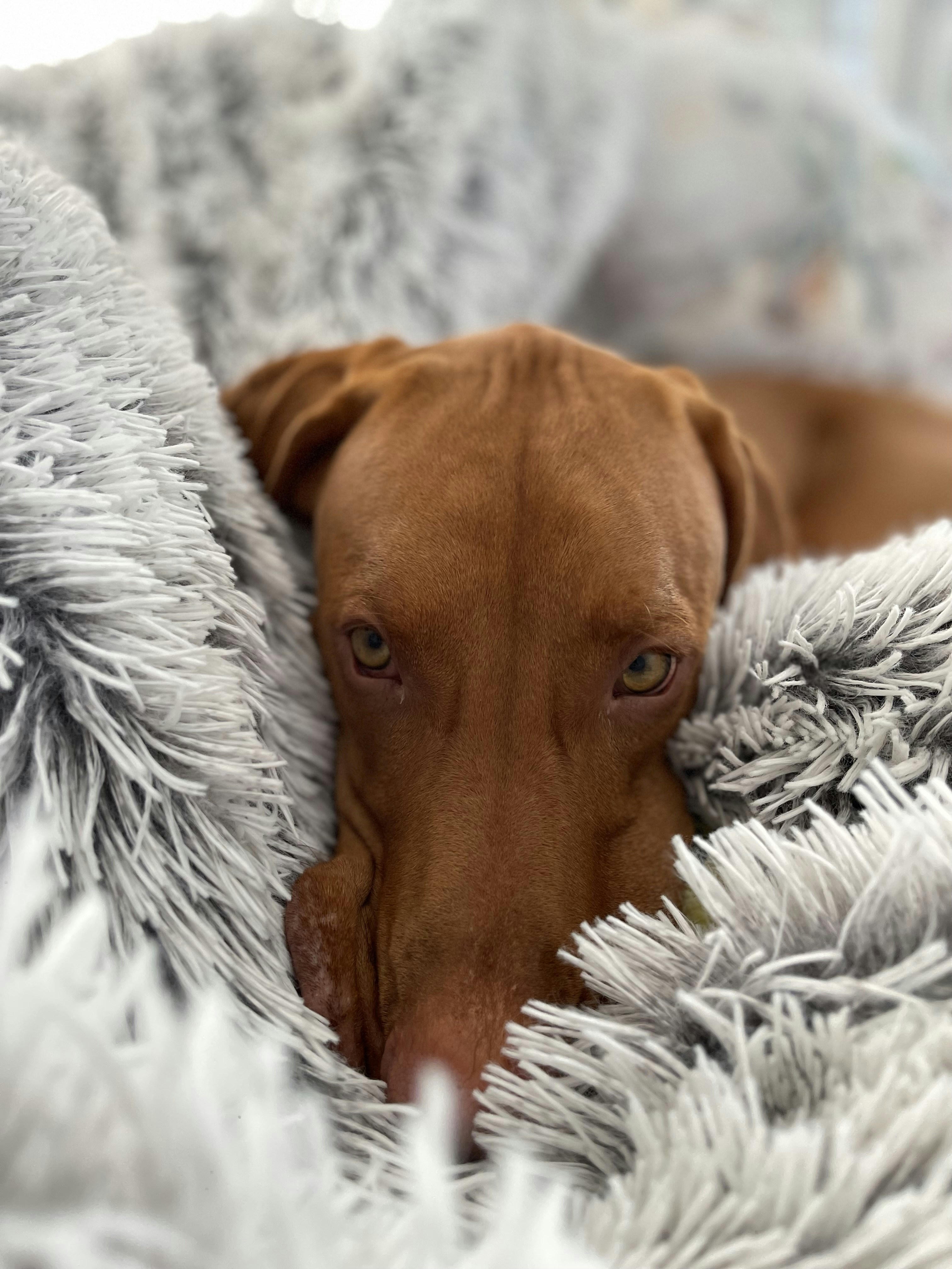 Photo by stanleygreenwood