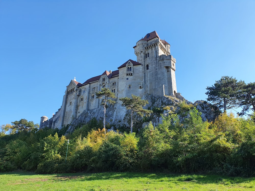 a castle on top of a hill surrounded by trees