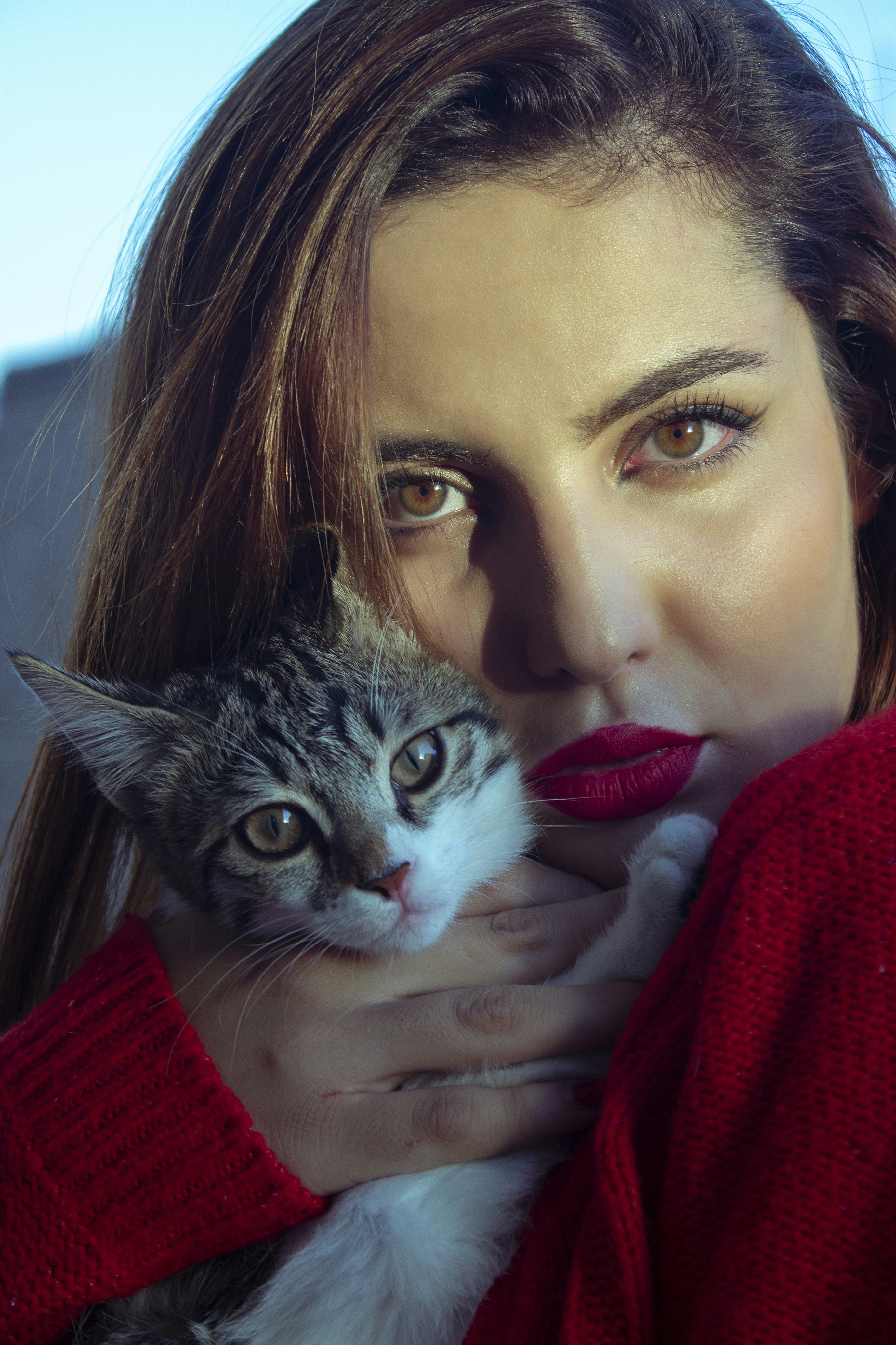 Photo by baranlotfollahi