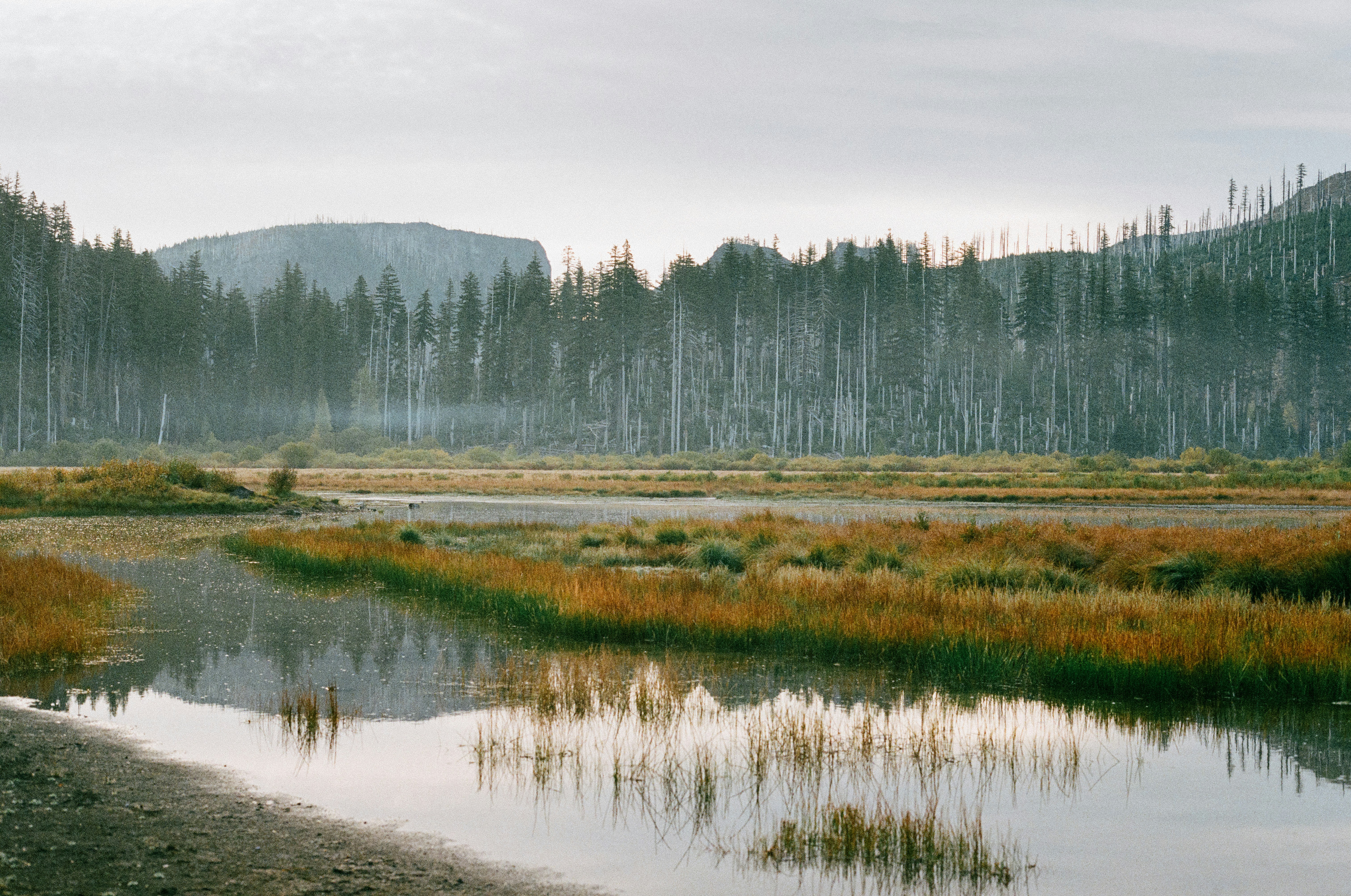 Photo by quietspaces